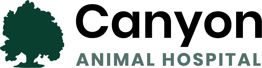 Canyon Animal Hospital
