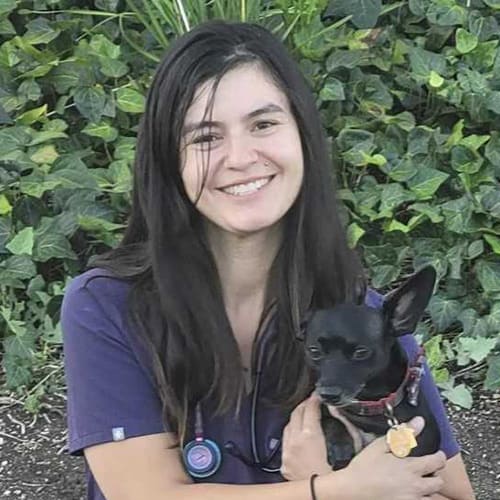 Cynthia, Laguna Woods Registered Veterinary Technician