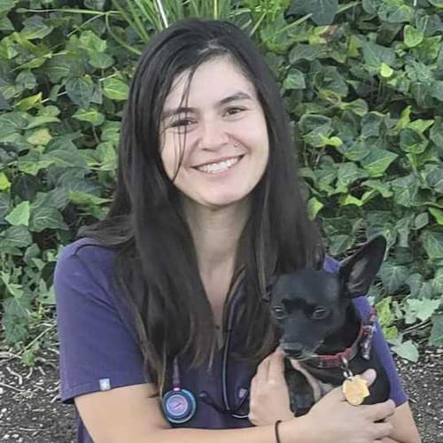 Cynthia, Laguna Woods Registered Veterinary Technician